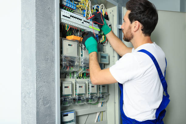 Best Electric Panel Repair  in Emmetsburg, IA