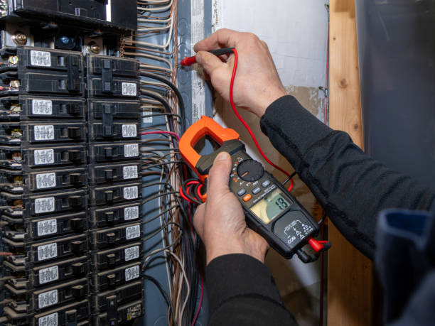 Best Electrical System Inspection  in Emmetsburg, IA